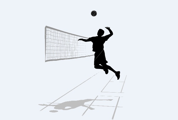 Volley